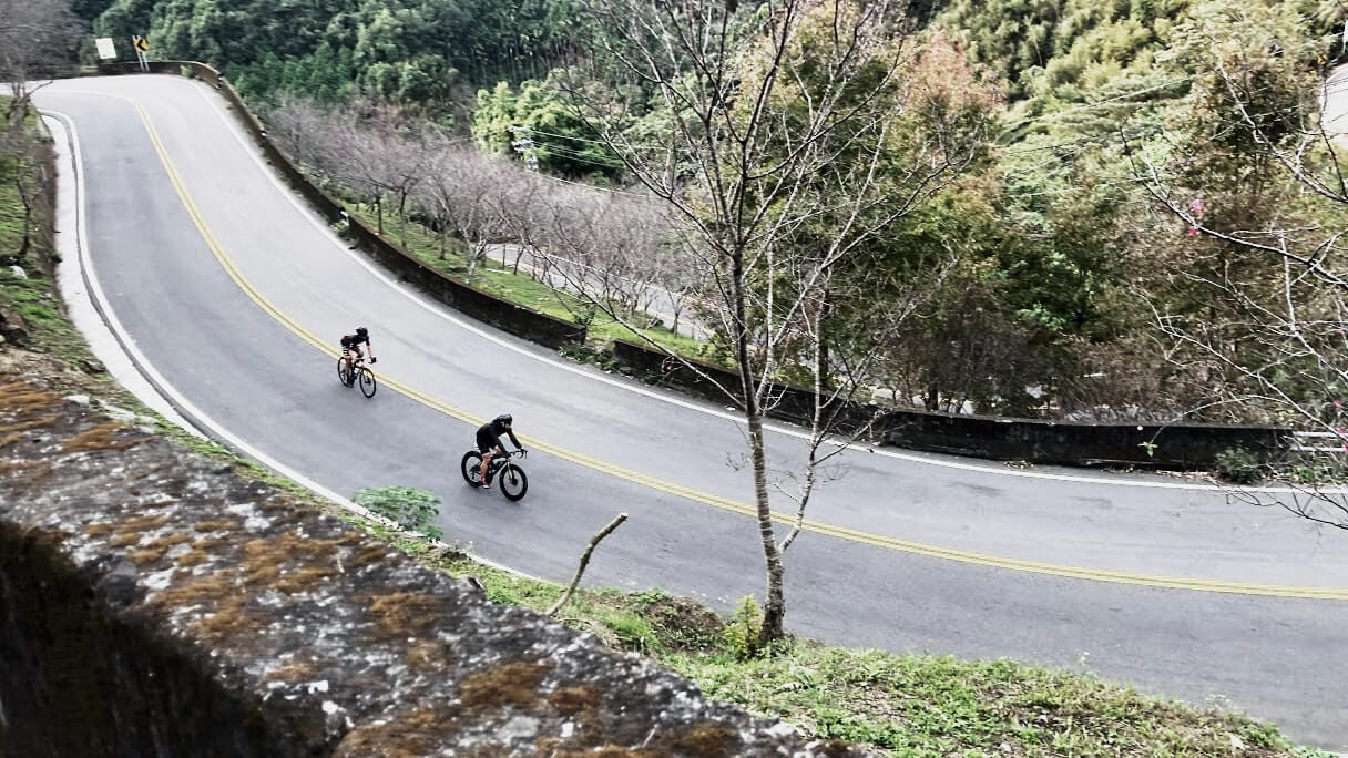 新手必看：如何挑選第一台公路車？從車種、尺寸到升級一次搞懂