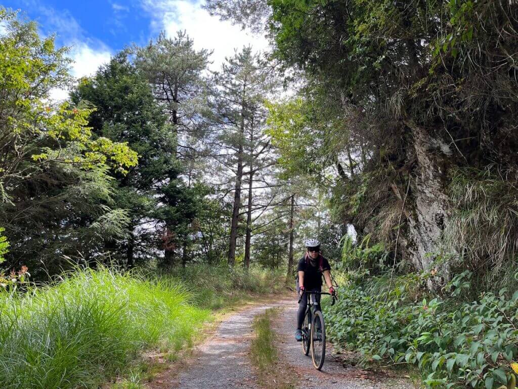 相較於競賽公路車，公路車新手也可以考慮 Gravel Bike/All-Road Bike 可以使用的地形更多樣化，也帶來更多樣的騎乘樂趣。