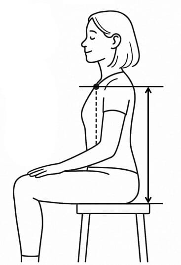 軀徑長(Trunk)量測示意圖
